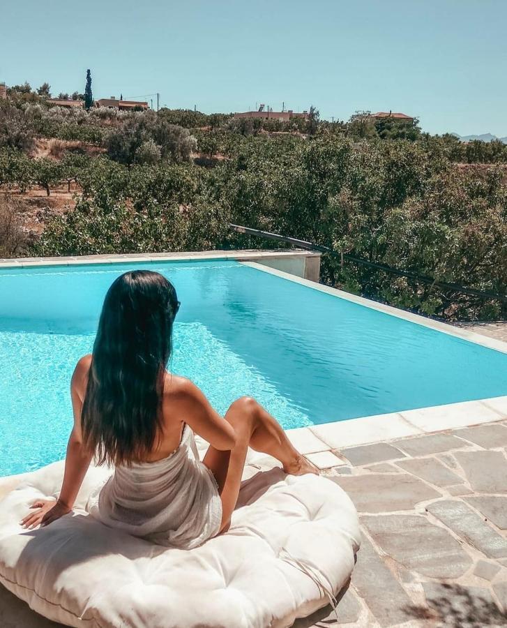 Villa Xenia Αίγινα Εξωτερικό φωτογραφία