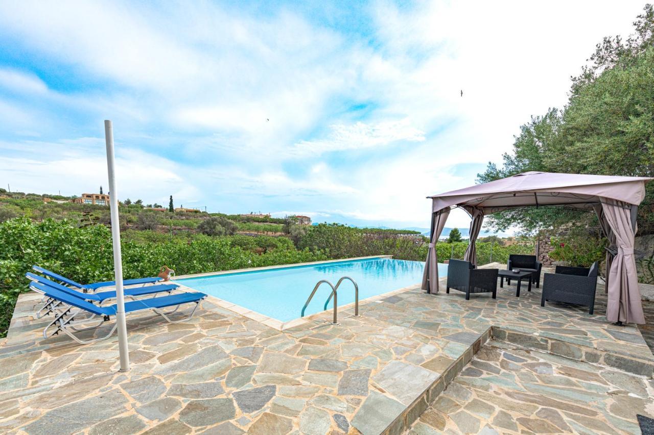 Villa Xenia Αίγινα Εξωτερικό φωτογραφία